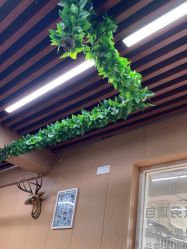 -纯剪男士理发馆·烫染专业店