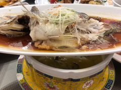 老虎斑-海景壹号大酒店(惠钱路店)