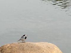 -金砂公园