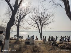 -丁香湖公园