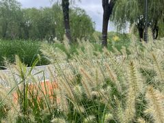 -中关村生命科学园