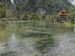 -靖西鹅泉风景区