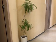 -艾耳堂·采耳头疗SPA(蟠龙天地店)