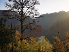 -四明山国家森林公园