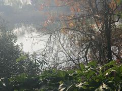 -上海市保健医疗中心(华东疗养院)