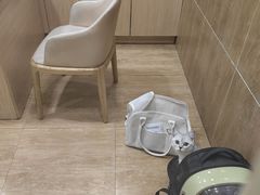 -瑞派名望24h动物医院异宠专科·猫专科·骨科·重症监护分院