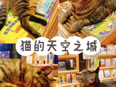 -猫的天空之城概念书店(杭州南宋御街店)