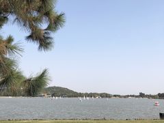 -上海月湖雕塑公园
