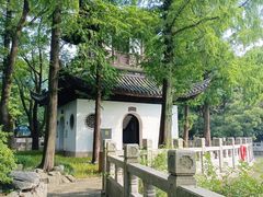 -汇龙潭