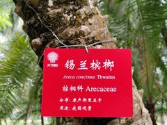 -中国科学院西双版纳热带植物园