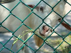 -上海滴水湖皇冠假日酒店