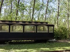 -合肥滨湖国家森林公园