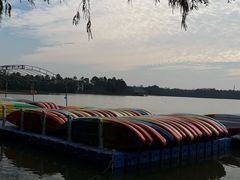 -上海海湾国家森林公园