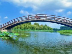 -白洋淀景区