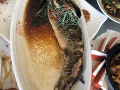 中华鲟-金家老三饭庄(常营店)