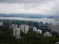 -大埔公路-马料水段香港中文大学(公交站)