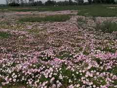 -汉长安城未央宫国家考古遗址公园