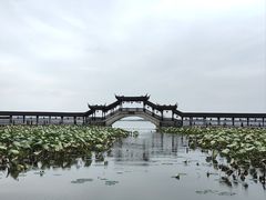 -观桥阁(锦溪店)