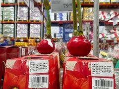 -山姆会员商店(上海浦东店)