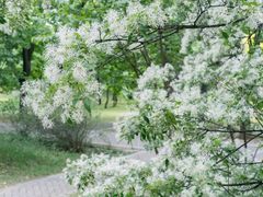 -国家植物园南园