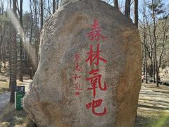 -洛阳白云山景区