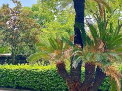 -张家港金凤凰度假村温泉