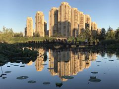 -前关湿地公园