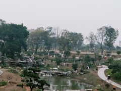 -东莞植物园
