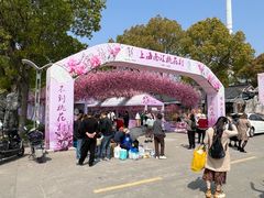 -南汇桃花村