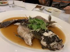 -桃苑(华侨银行大厦店)