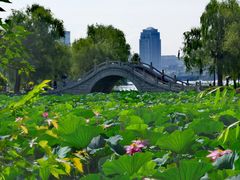 -长春市南湖公园