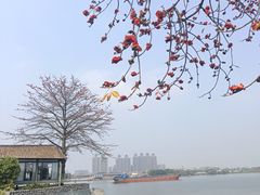 -喜洲吧·江畔老船厂·庭院餐厅(喜临院店)