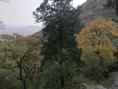 -北京鹫峰国家森林公园