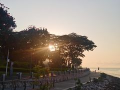 -深圳湾公园(南山区)