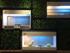 -打趸BTC·Breaktime cafe(北京路店)