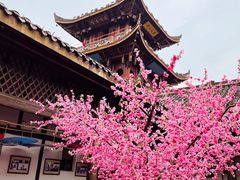景点-中天楼