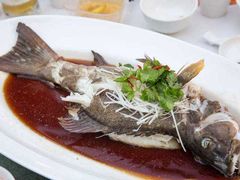清蒸石斑-万丽轩·粤菜(王府井金茂万丽酒店)