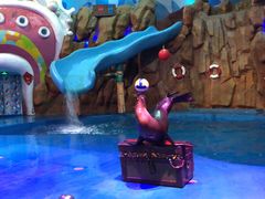 -烟台海昌鲸鲨海洋公园