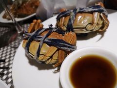 -339旋转餐厅(天府熊猫塔店)
