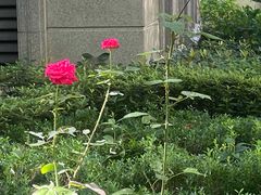 -外婆家(西溪印象城店)