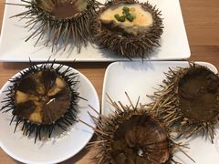 -海胆小馆(东北水饺·春柳店)