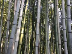 景点-焦山风景区