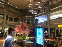 -上海银星皇冠假日酒店