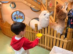 -藦茜花园宠物主题亲子互动体验馆(国顺东路店)