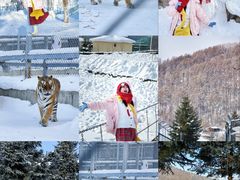 -横道河子东北虎林园