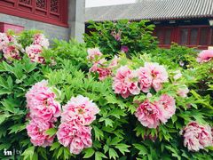 -大钟寺古钟博物馆