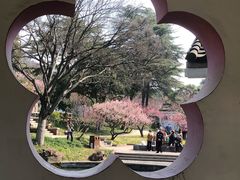 -无锡梅园公园