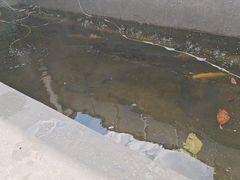 -何适山庄 ·可团建(水长城P2停车场店)