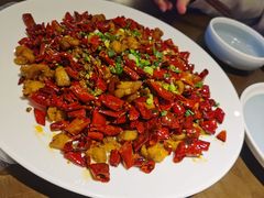 -向川南·水煮鱼·川菜(和平里店)