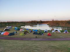 -春花秋色城市公园